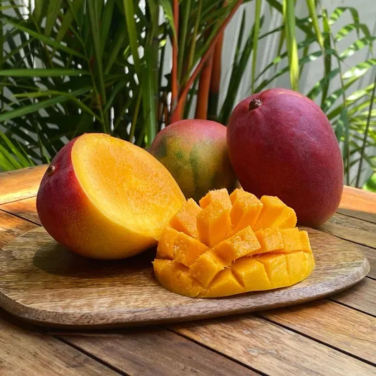 African Mango in Gluco Recover